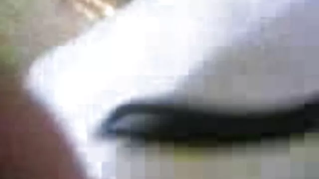 કાળા pussy તેની ગર્લફ્રેન્ડ કેલી Klass ન હતી જે નીચે શાંત સ્વ સેકસી વીડીયો મુવીસ ચોદવુ