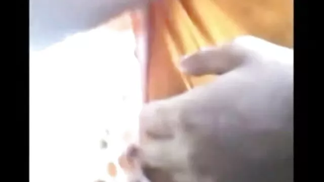 નાજુક કાળી ગાંડ fucks મોટો નકલી લોડો બંધ લઈ તેના બ્રા અને જાંઘિયો બીપી વીડીયો સેકસી બીપી વીડીયો સેકસી