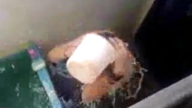 શાળાના વિદ્યાર્થીઓ રાંધણ કલા રસોડામાં suck પહેલાં બીપી વીડીયો સેકસી બીપી વીડીયો સેકસી સંભોગ કર્યા ત્રણ લોકો નુ સમૂહ ચોદન